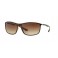 Rayban RB 4231