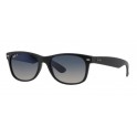 Rayban RB 2132 Polar