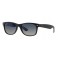 Rayban RB 2132 Polar