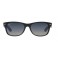 Rayban RB 2132 Polar