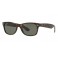 Rayban RB 2132 Polar