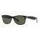 Rayban RB 2132 Polar