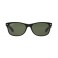 Rayban RB 2132 Polar