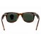 Rayban RB 4340