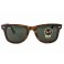 Rayban RB 4340