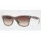 Rayban RB 4195