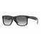 Rayban RB 4165