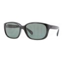 Rayban RB 4161