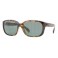 Rayban RB 4161