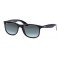 Rayban RB 4202