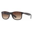 Rayban RB4202