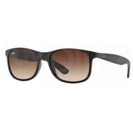 Rayban RB4202