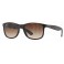 Rayban RB4202