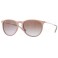 Rayban RB 4171