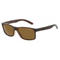 Arnette 4185 Polar