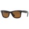 Rayban RB2140 Polar