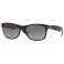 Rayban RB2132 Polar